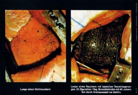 Mit Dem Rauchen Aufhoren Tipps Tricks Mit Dem Rauchen Aufhoren Tipps Tricks