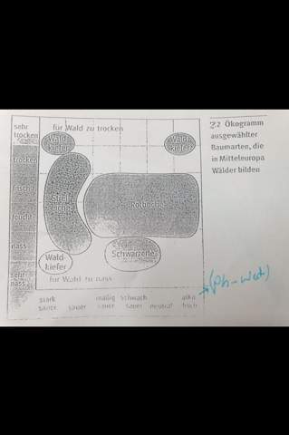 Sukzession und Klimax? (Allgemeinwissen, Ökosystem)