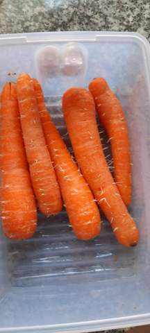 Karotten Mit Weißen Haaren Noch Essbar