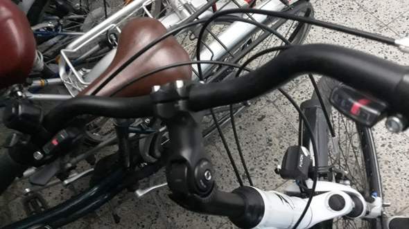 fahrrad fahren mit hund wenn er angst hat
