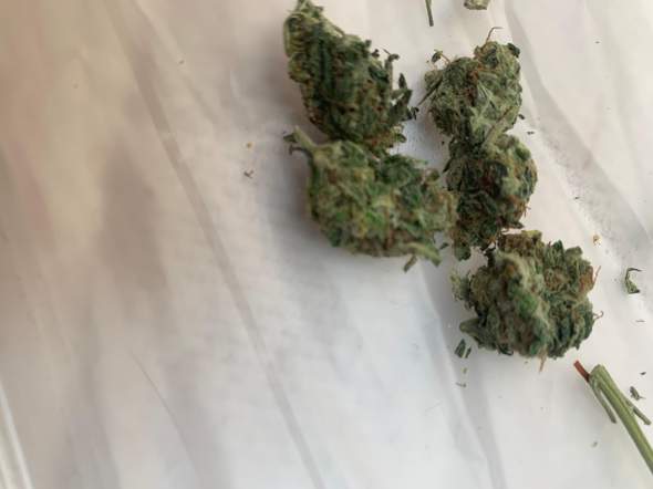 Hab Im Internet Ein Bild Gesehen Und Wurde Gern Wissen Wie Viel Gramm Gras Das Sind Drogen Hab Im Internet Ein Bild Gesehen Und Wurde Gern Wissen Wie Viel Gramm Gras Das Sind Drogen