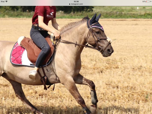 Kann man ein Pferd trotz enger Ganaschen durchs Genick reiten? (Pony)