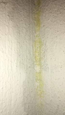 Schimmel Mietminderung Nicht Moglich Miete Vermieter