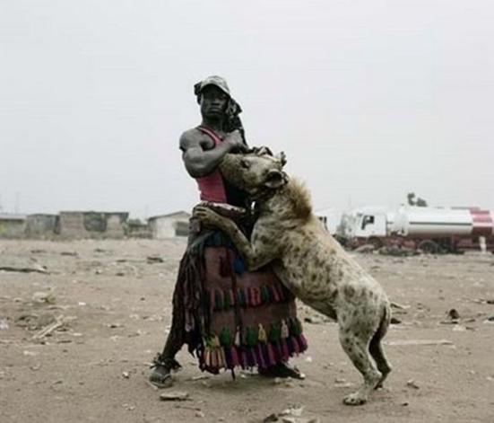 angeblich afrikanische pitbulls 2 - (Tiere, Hund, Katze)