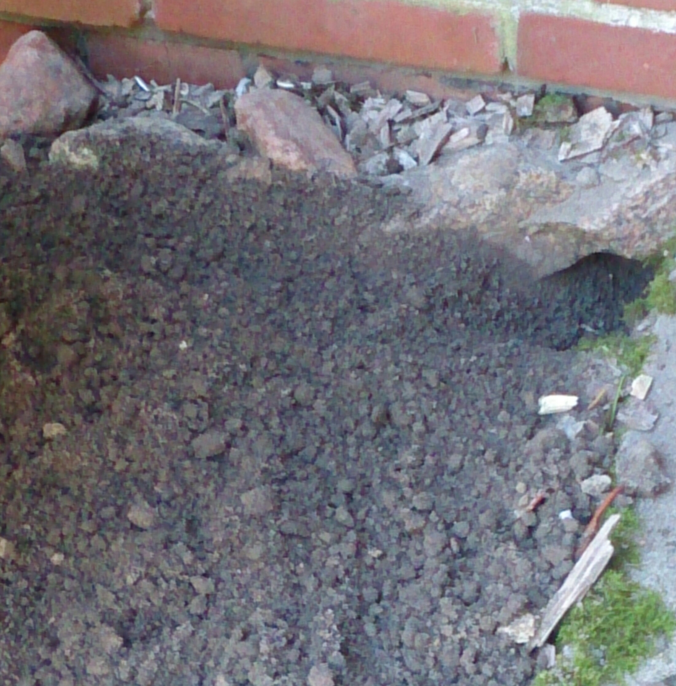 Im Garten L Cher Ratten