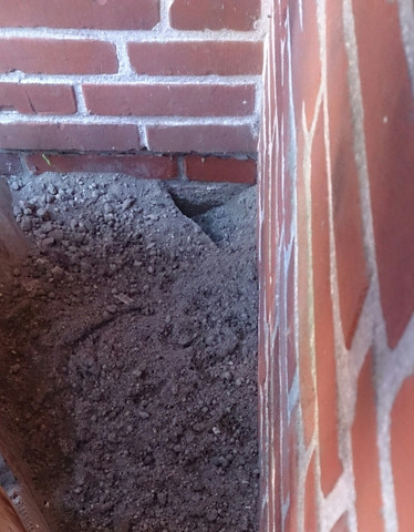 Im Garten Locher Ratten