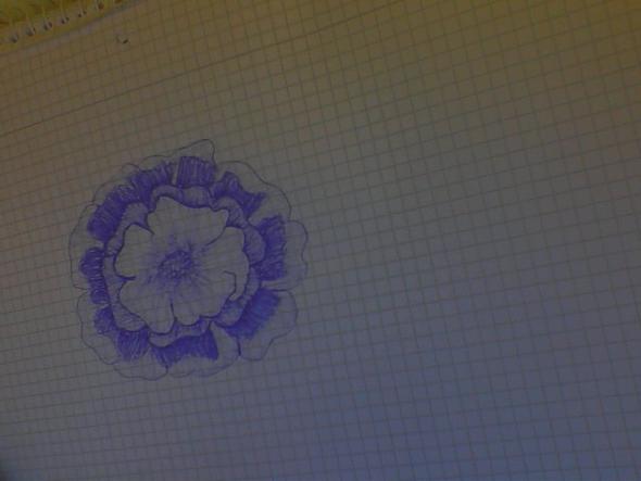 hier die Blume - (Bilder, Kunst, Meinung)