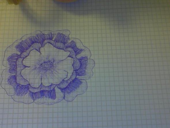 und nochmal die Blume - (Bilder, Kunst, Meinung)