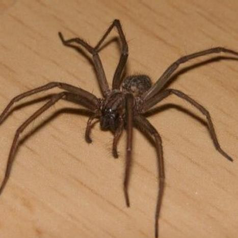 Warum Haben So Viele Leute Besonders Frauen Solche Angst Vor