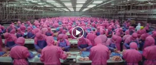 Bild aus Video - (Film, Video)