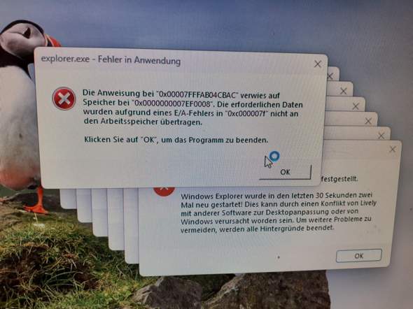 Bild zum Beitrag