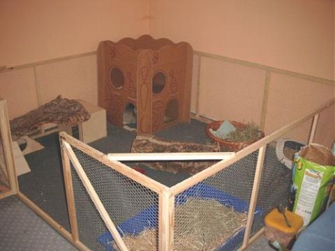 Kaninchen Innenhaltungsbeispiel - (Kaninchen, Zimmer, Innenhaltung)