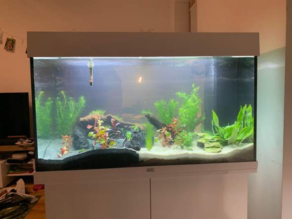 2. Update Aquarium, noch Vorschläge? (Fische, Aquaristik, Aquascaping)