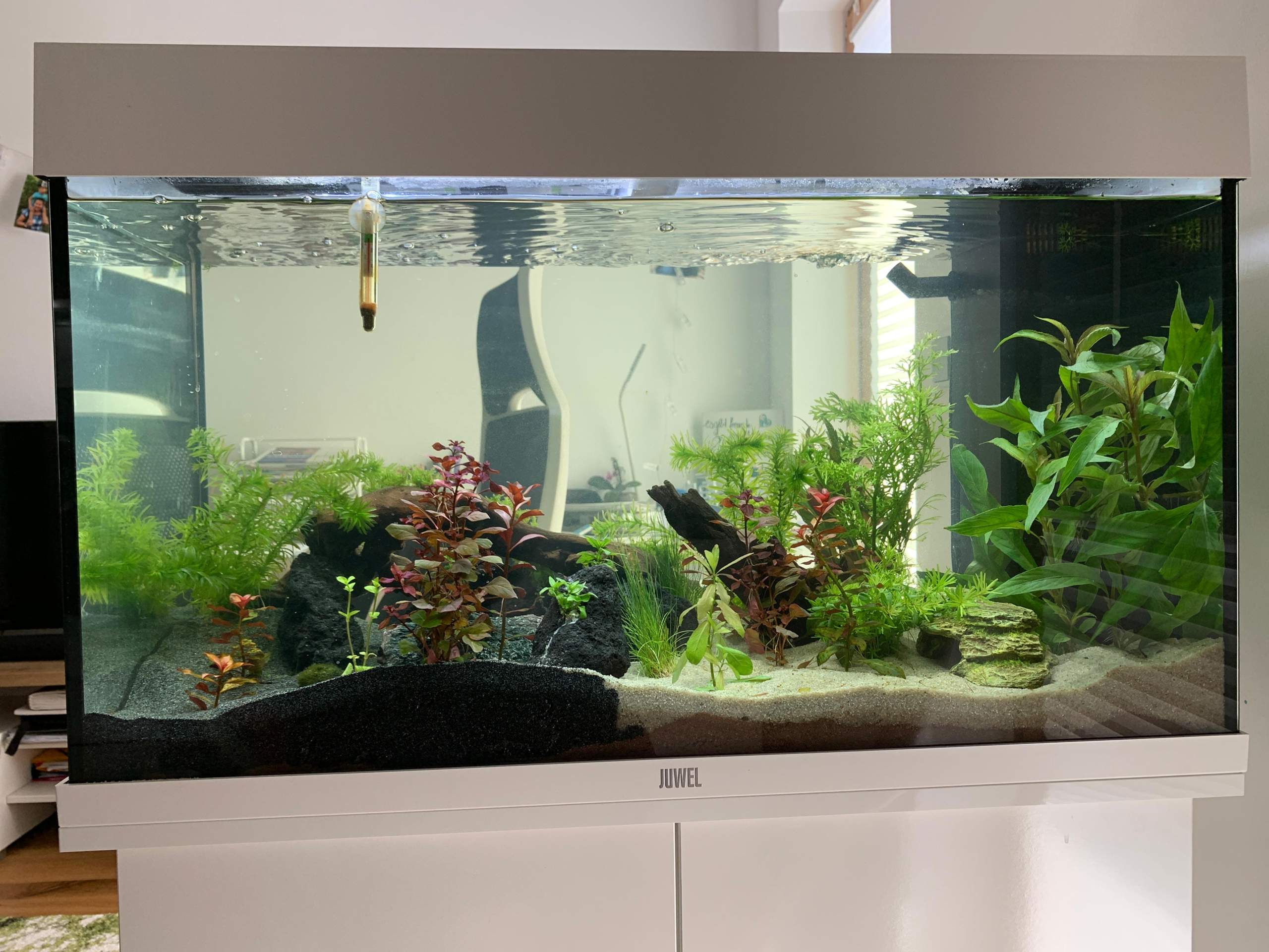 2. Update Aquarium, noch Vorschläge? (Fische, Aquaristik, Aquascaping)