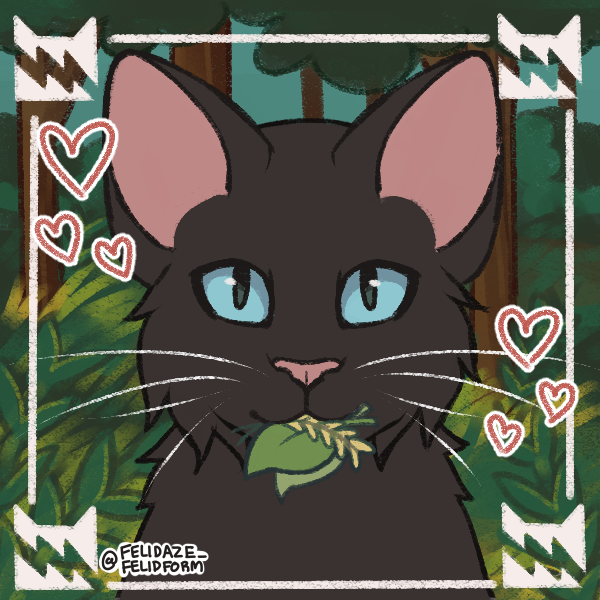 2 .Wer ist es ( Warrior Cats )? (Buch, Erin Hunter)