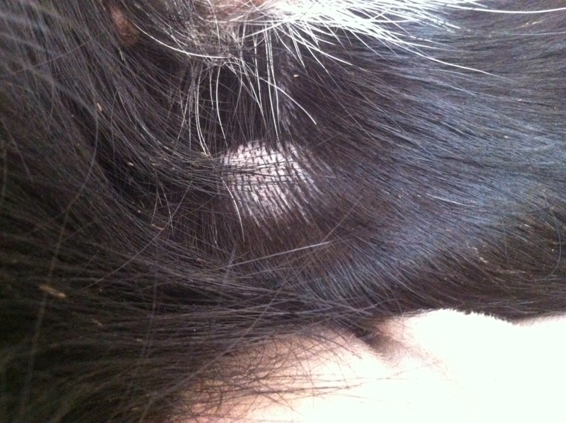 Hilfe! Mein Hund hat eine kahle Stelle am Bein, die immer größer wird