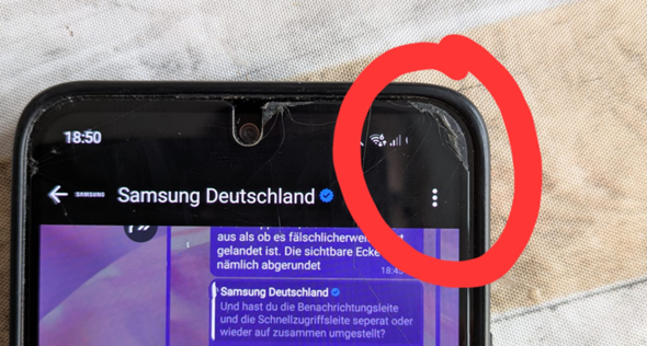 Bild zum Beitrag