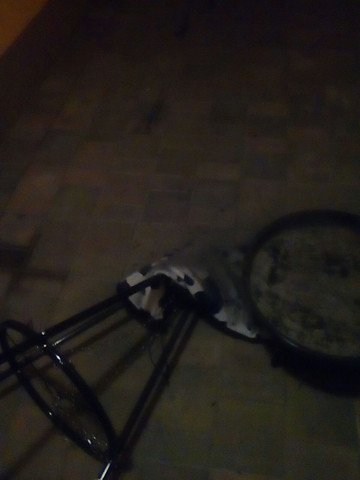 Heute, Grill auf Babysack - (Polizei, Anzeige, Nachbarn)