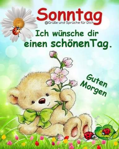 Bild zum Beitrag