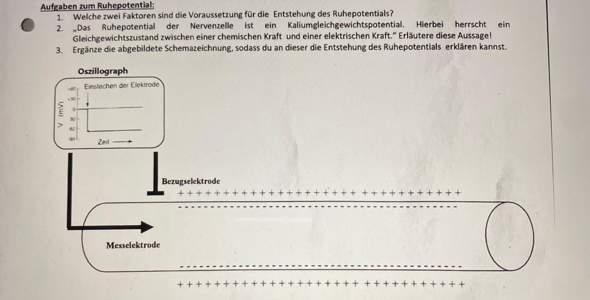 Bild zum Beitrag