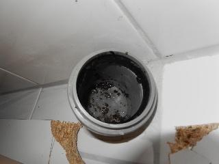 Abwasserrohrverschluss - (Küche, Sanitär, Abfluss)