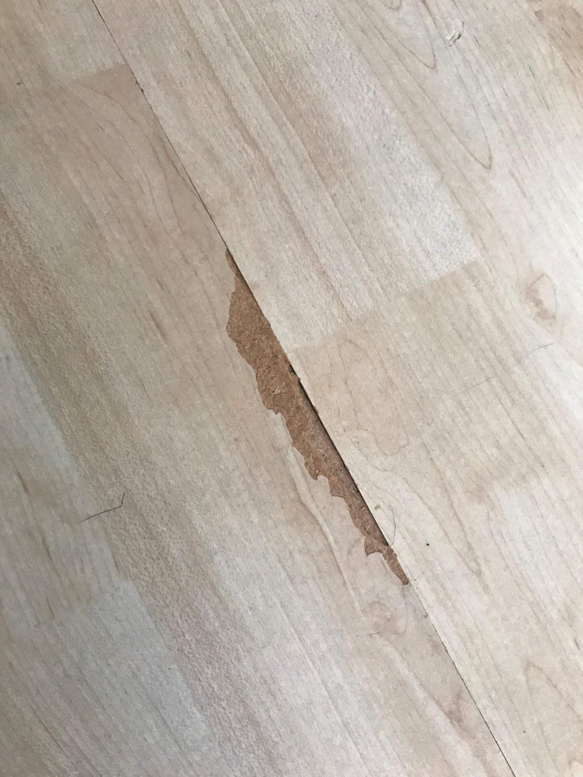 Abgeplatzte stellen an Laminat reparieren? (Wohnung, Reparatur, Handwerk)