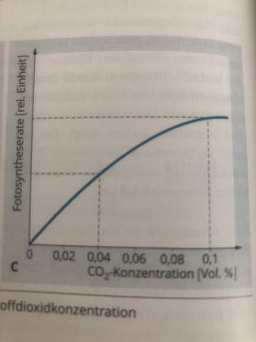Abhängigkeit der Fotosyntheserate von der CO2-Konzentration erklärt?