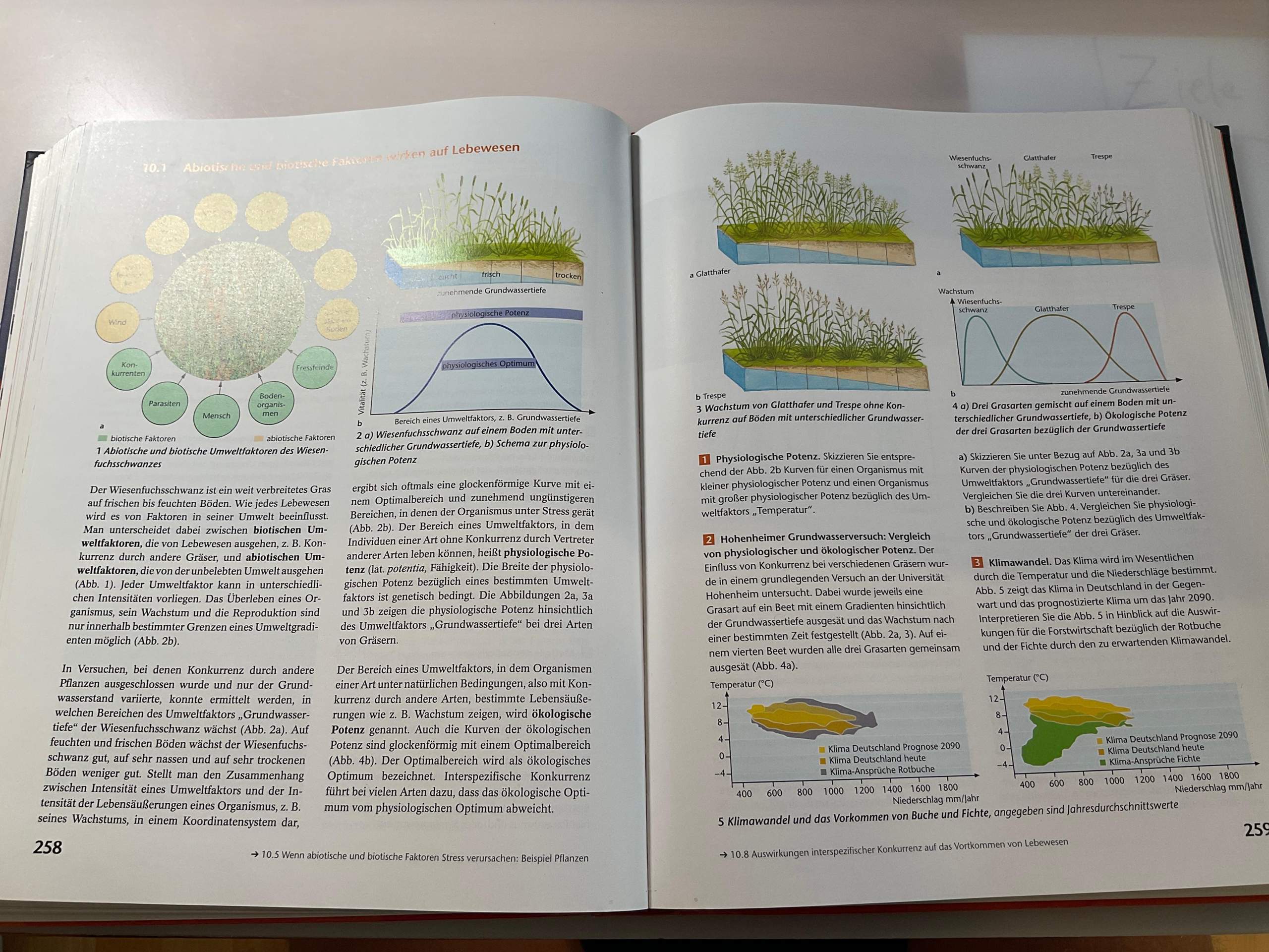 Abiotische und biotische Faktoren wirken auf Lebewesen? (Biologie