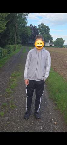 Bild zum Beitrag