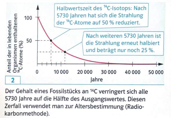 Bild zum Beitrag