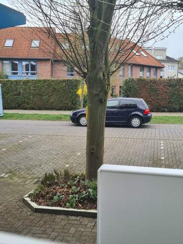 Bild zum Beitrag