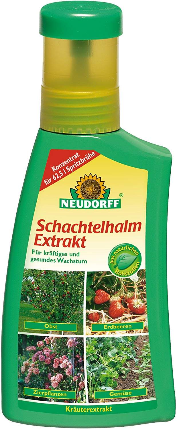 fächerahorn mit kaffeesatz düngen Purgrün Fächerahorn-Dünger 1 kg main image 1
