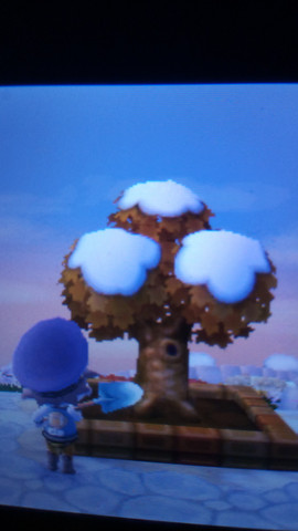 - (Spiele und Gaming, Nintendo, Animal-Crossing)