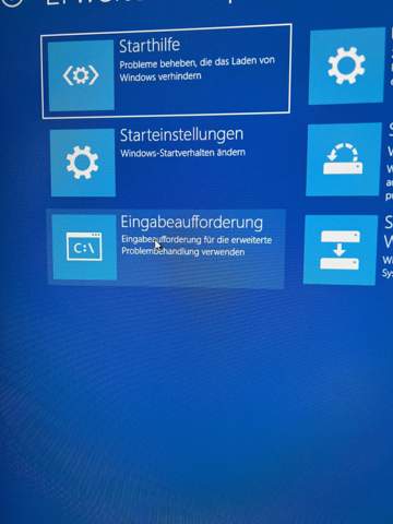 Bild zum Beitrag