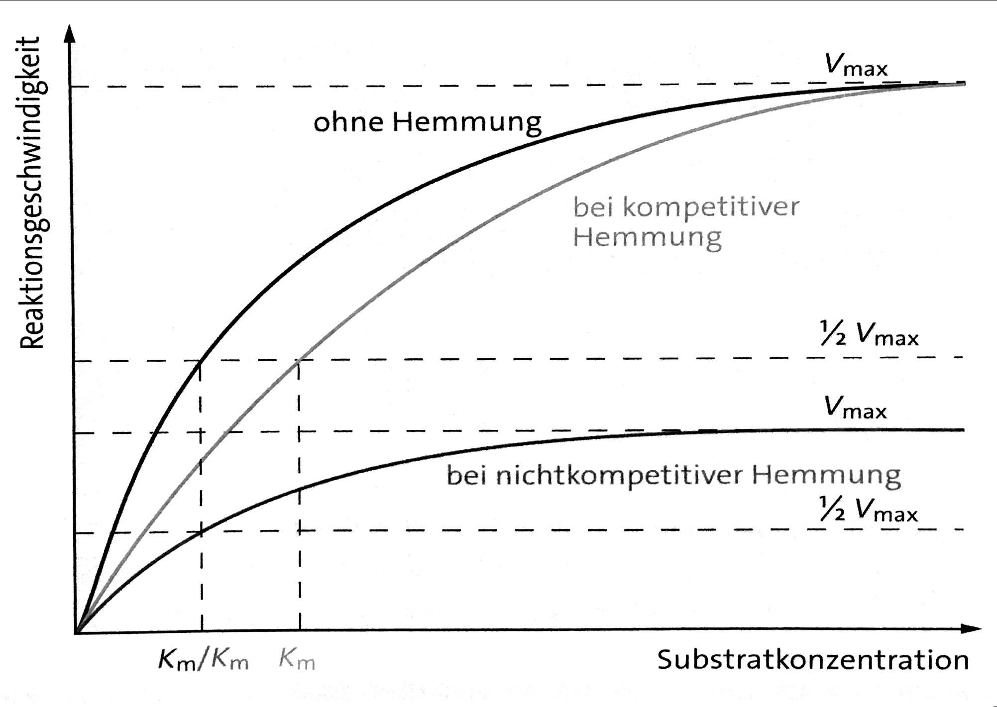 Ändert sich bei der allosterischen Hemmung Vmax? (Biologie, Enzyme)