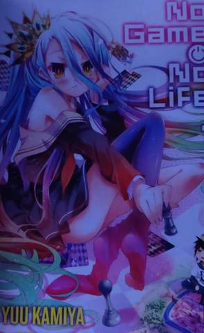Af welcher Seite von dem Light novel No Game No Life werden die 10 Gebote erklärt?