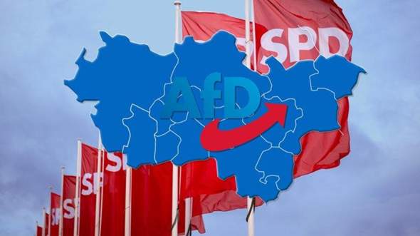 Bild zum Beitrag