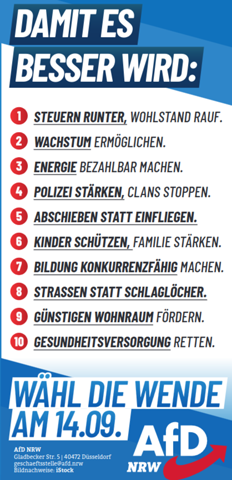Afd Programm damit es besser wird? (Politik, Deutschland, Wahlen)