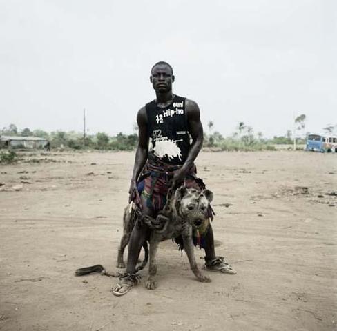 African Pitbull Hund Legal Afrika