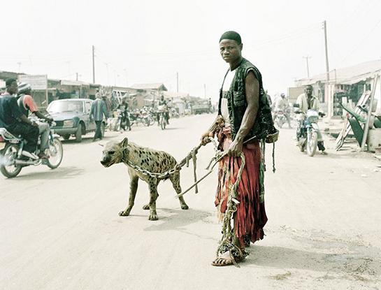 entsetzlich! - (Hund, legal, Afrika)