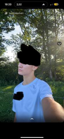 Bild zum Beitrag