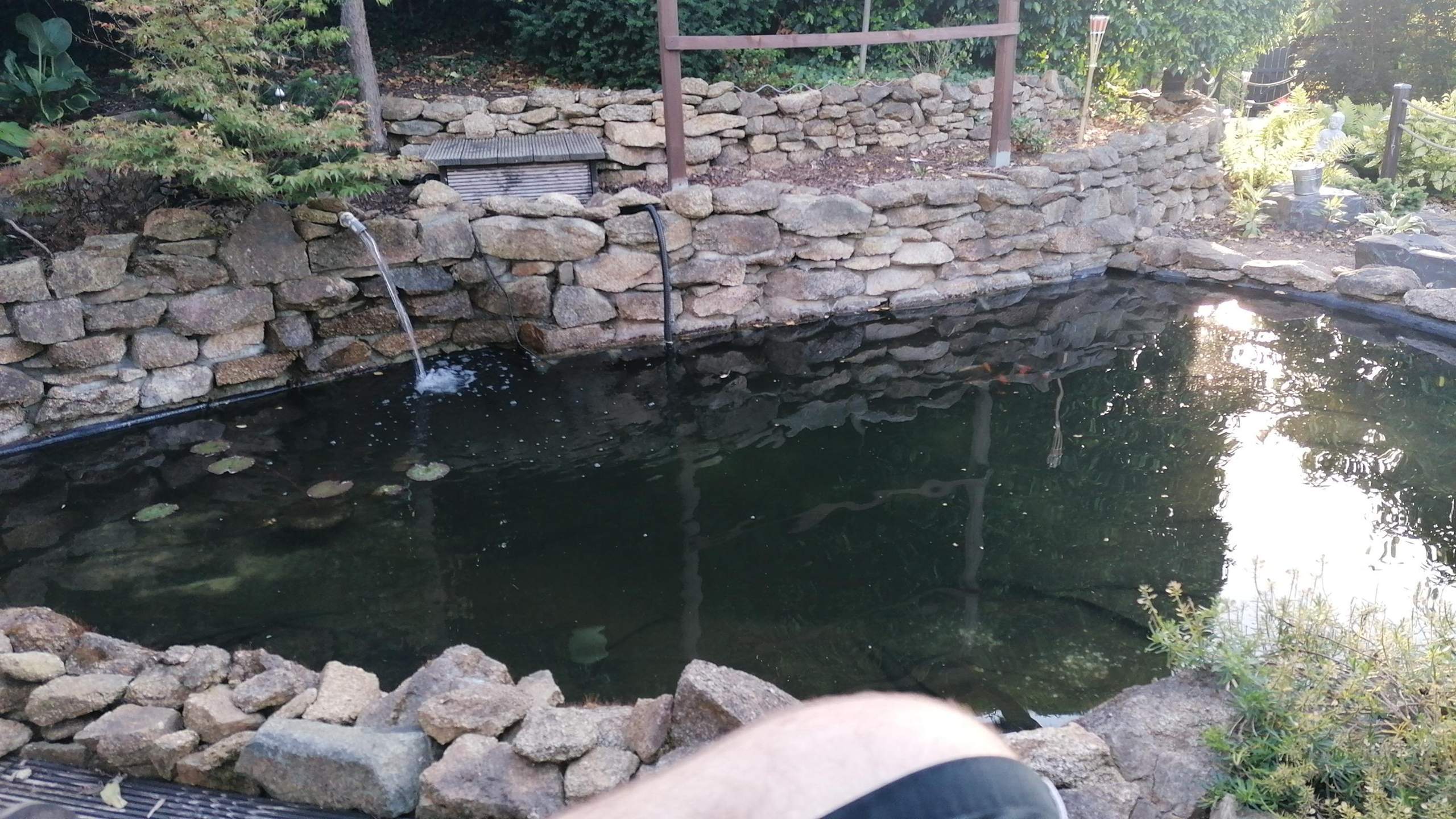 Algen im Teich bekämpfen? (Gartenteich, Algenbefall)