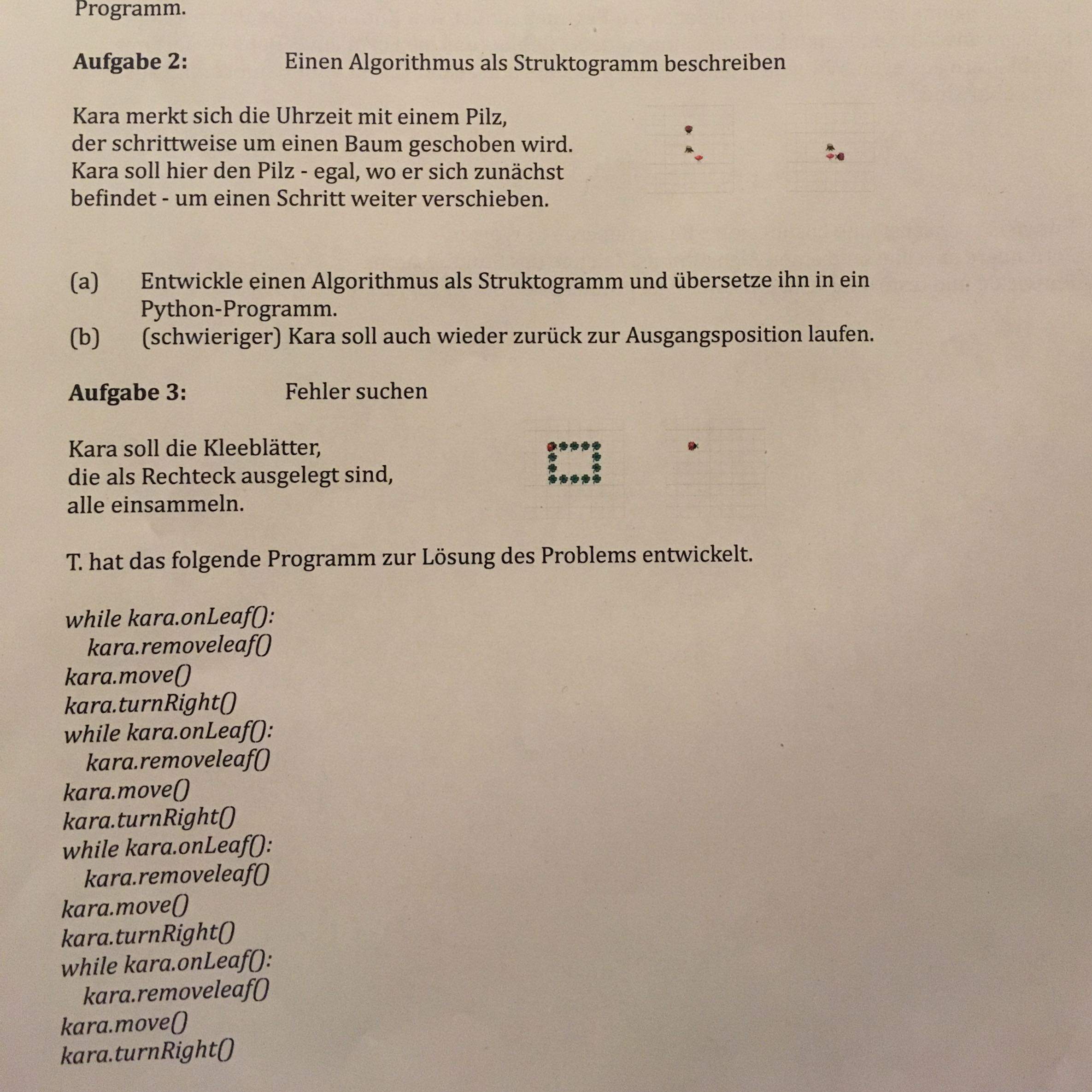 Algorithmus bei Kara? (Schule, programmieren, Informatik)