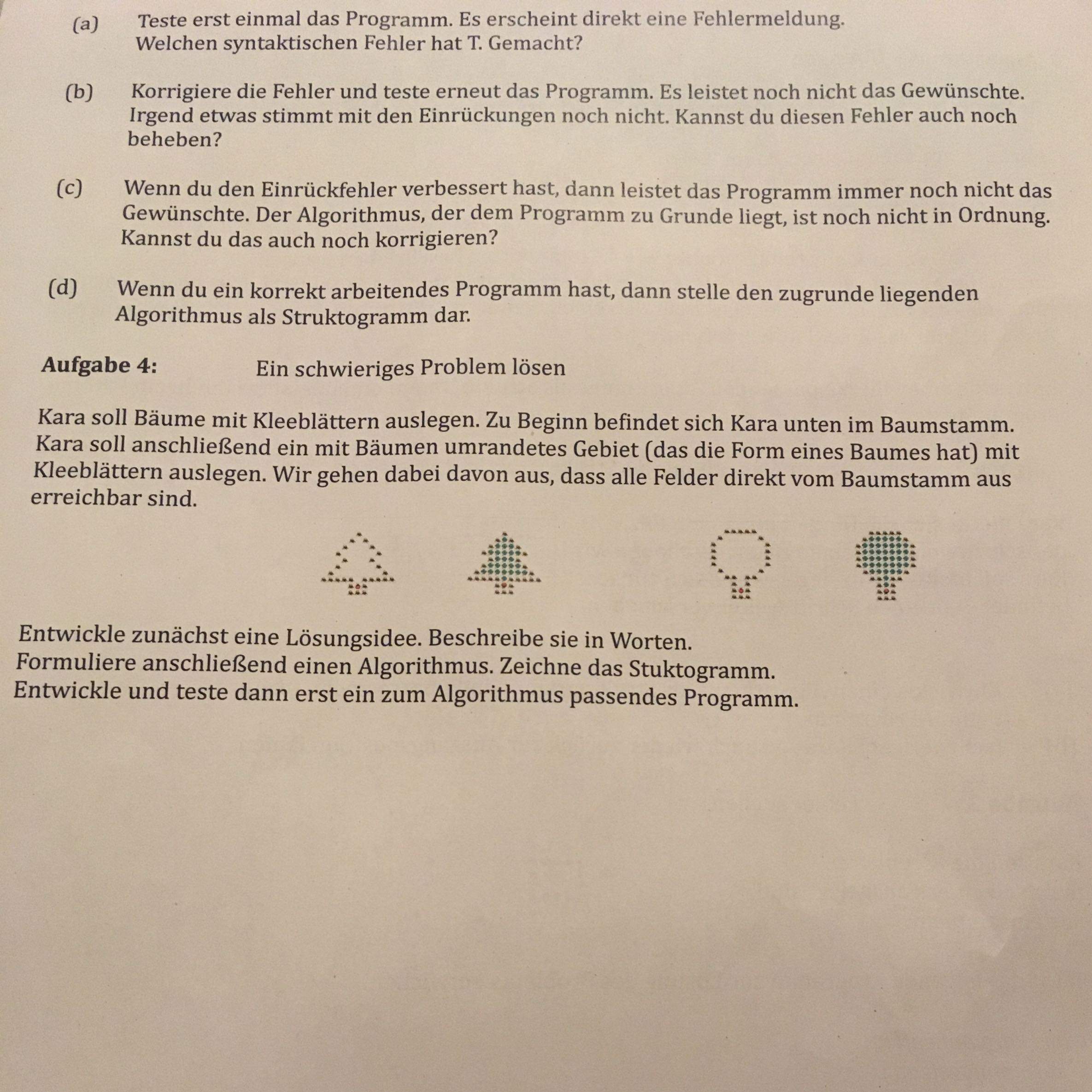 Algorithmus bei Kara? (Schule, programmieren, Informatik)