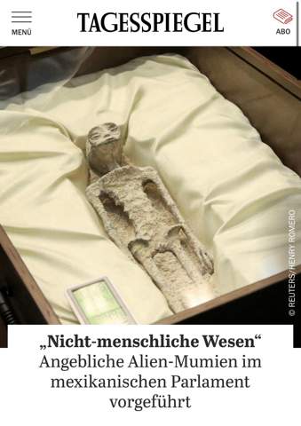 Bild zum Beitrag