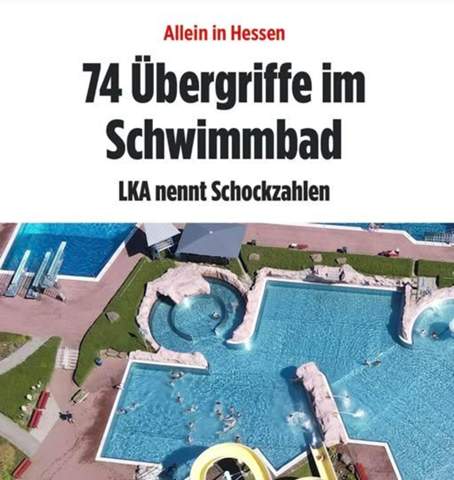 Bild zum Beitrag