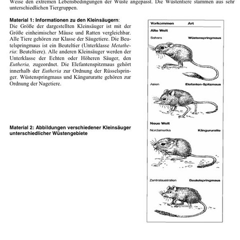 Allensche Regel Bei Mausen Biologie Maus Klausur