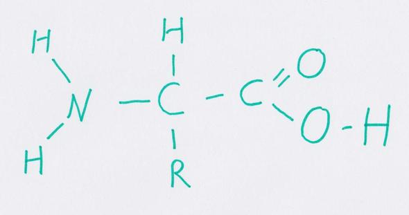 Meine Zeichnung / Darstellung einer Aminosäure (AS)  - (Ernährung, Chemie, Biologie)
