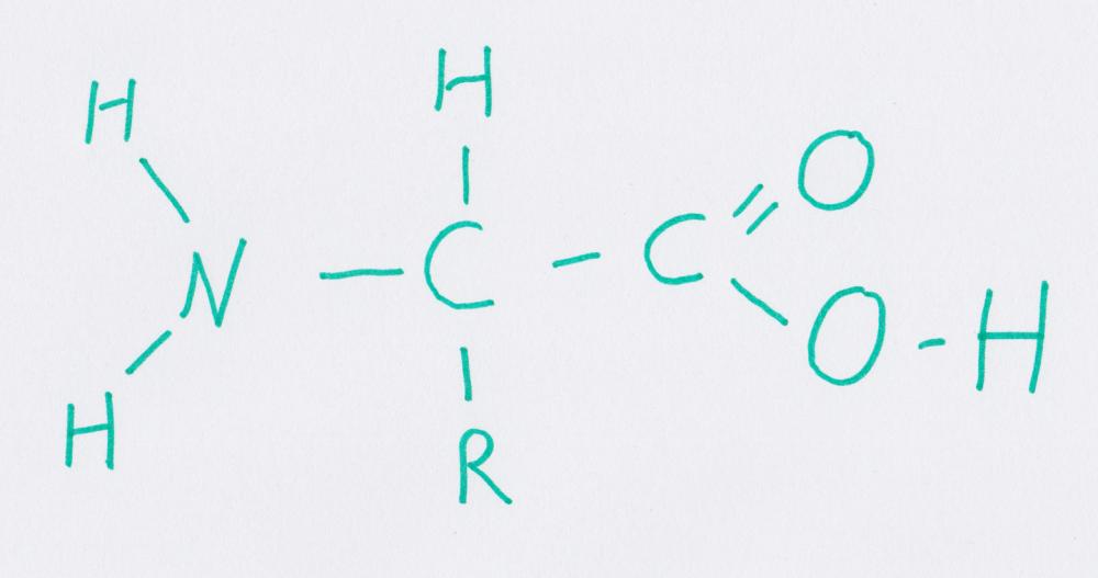 Allgemeine Formel einer Aminosäure für Körper Tattoo ...
