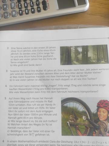 Bild zum Beitrag